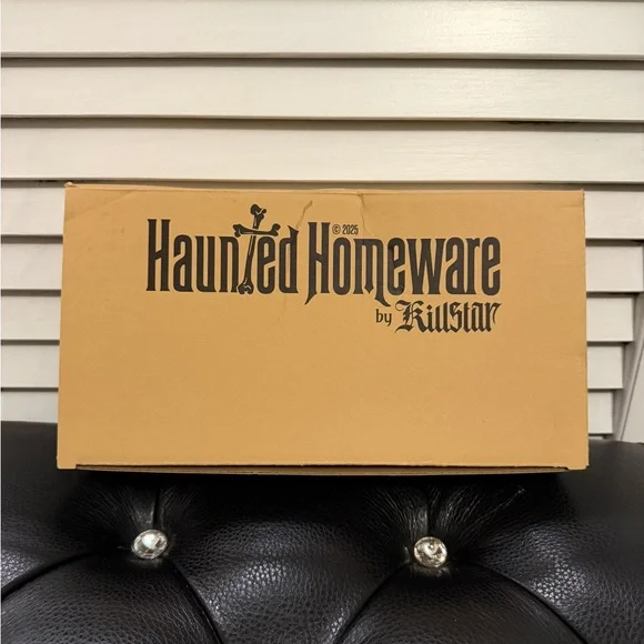 Killstar Black Velvet Casket Jewelry Box with Embroidered Silver Bat - Picture 6 of 6